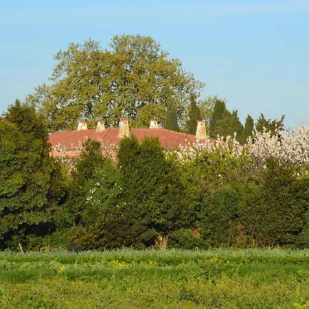Ferienhaus Banyuls Latour-Bas-Elne