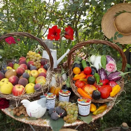Banyuls Nyaraló Latour-Bas-Elne