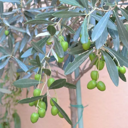 Nyaraló Banyuls Latour-Bas-Elne