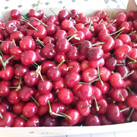 Banyuls Дом отдыха