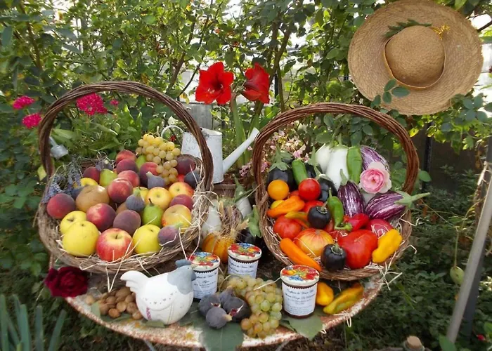 Banyuls Casa de Férias Latour-Bas-Elne