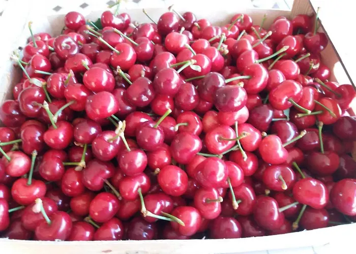 Banyuls Latour-Bas-Elne